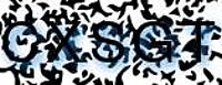 grafischer Sicherheitscode