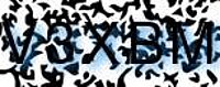 grafischer Sicherheitscode