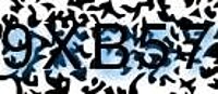 grafischer Sicherheitscode