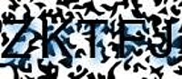 grafischer Sicherheitscode