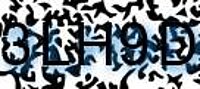 grafischer Sicherheitscode