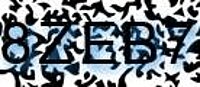 grafischer Sicherheitscode