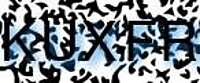 grafischer Sicherheitscode