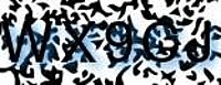 grafischer Sicherheitscode