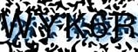 grafischer Sicherheitscode
