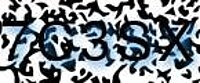 grafischer Sicherheitscode