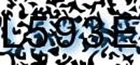 grafischer Sicherheitscode