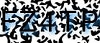 grafischer Sicherheitscode