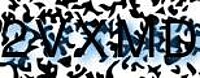 grafischer Sicherheitscode