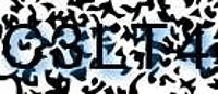 grafischer Sicherheitscode