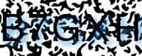 grafischer Sicherheitscode