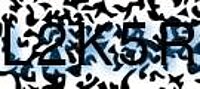 grafischer Sicherheitscode
