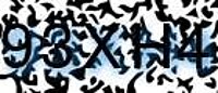 grafischer Sicherheitscode