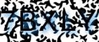 grafischer Sicherheitscode