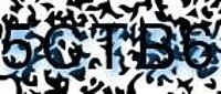 grafischer Sicherheitscode