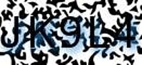 grafischer Sicherheitscode