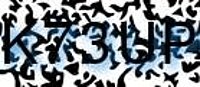 grafischer Sicherheitscode