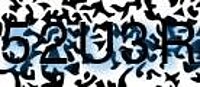 grafischer Sicherheitscode
