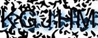 grafischer Sicherheitscode