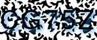 grafischer Sicherheitscode