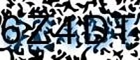 grafischer Sicherheitscode